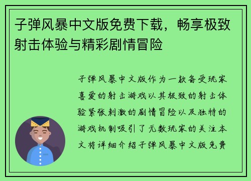 子弹风暴中文版免费下载，畅享极致射击体验与精彩剧情冒险